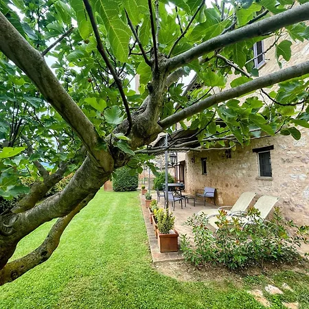 Unique With Child Activity Park, Pool And Meditation Park That Sleeps 16 *